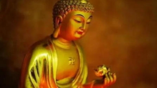 人死后超度完去了哪里,所有人都希望亲人可以