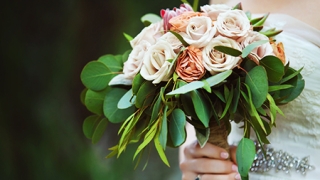 属狗人如何招桃花