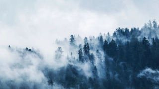 运气差财运好是什么原因,总是存不到钱怎样办