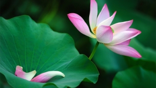 运势不佳、财运不好、情感不顺请符有用吗？