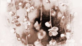 家里放什么招桃花运旺姻缘最好