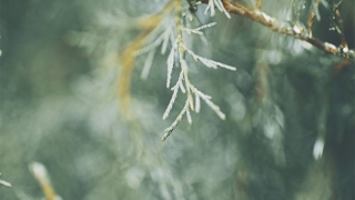 祠堂牌位摆放的讲究，在制作方面很有讲究