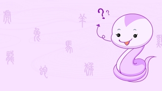 蛇冲太岁怎么化解