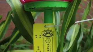 还阴债都需要准备什么 佛教还阴债怎么算