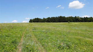 过度惊吓的症状表现，想要化解可以去叫魂