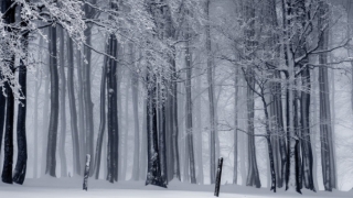 堕胎的果报与化解方法,千万不要相信堕胎无伤害