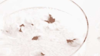 斩去老公烂桃花的妙招