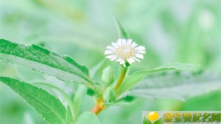 有财库手相的人财运未必好