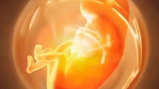 堕胎因果轮回，是一切困难的开始