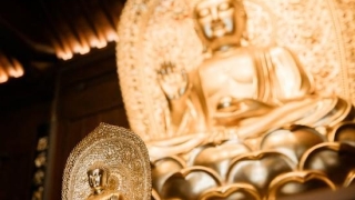 佛法有一个《往生咒》，被视为无所不能之“咒语”这是怎么回事？