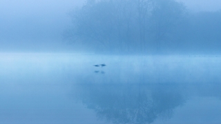 这个实用的渡亡文,念完就可以回向给亡灵