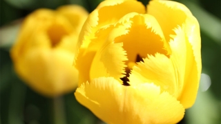 因果轮回的经典句子这个苍天饶过谁