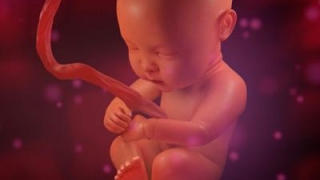 超度婴灵念什么？灵婴超度经文