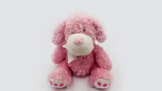 婴儿是投胎转世的婴灵，分享超度婴灵的方法