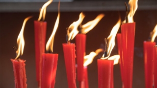 灵血养婴灵不是那么简单的事情，没有修为之人