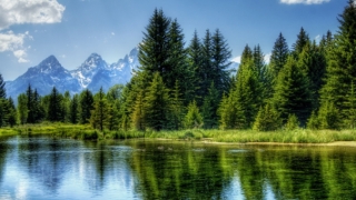 老祖宗牌位的历史,供奉先人需要注意的问题