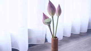 事业受阻不顺利怎么转运,三招帮你开运化解厄运