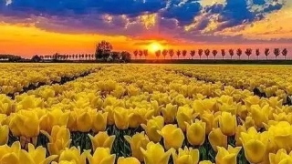 超度已故亲人及冤亲债主，什么方法帮助他们最有利？（转载）