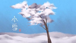 面相男子鼻翼小 鼻翼小的人没财库吗