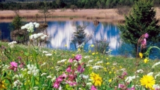 渡亡施食烟供,可以让亡灵获得利益有助于解脱