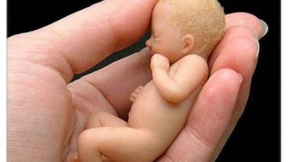 三个月前的孩子有婴灵吗 ， 净空法师超度婴灵的方法