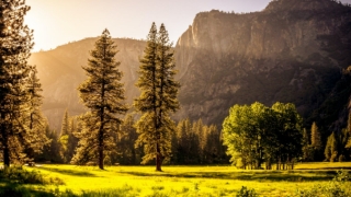 不要随便在家念经 按照规则念经才有意义