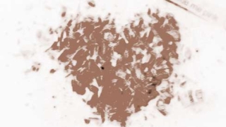 养什么植物招桃花运