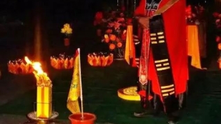 在家里养能帮助我们开运旺财的植物，会带来好运势