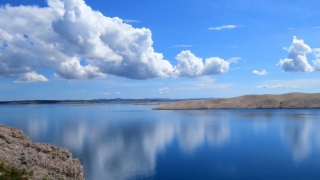 属狗的算今年事业工作运势,2021年事业受阻改怎么化解