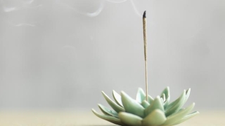 如果是孕囊 就不是生命,堕胎的后果