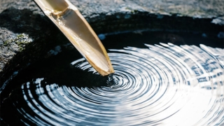 太岁符哪里请，2021年需要化太岁的生肖详解