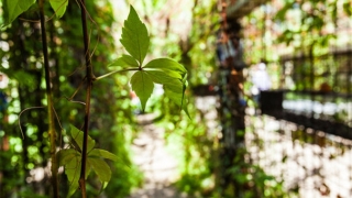 给死人超度作用婴灵的超度方法