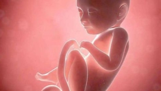 打胎的报应真实案例分享