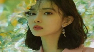 招桃花的盆栽主要有这几种 让它们助力你收获美好爱情