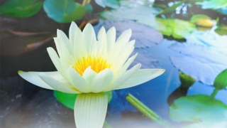 不及时还阴债的危害，还阴债流程你一定要懂