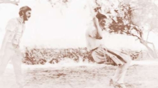 卧室放什么招桃花最有效果