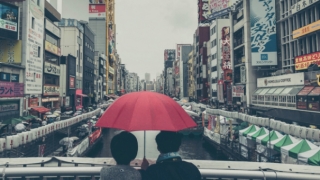 对偏财运有帮助的吉祥物,人无偏财不富分享招财之法