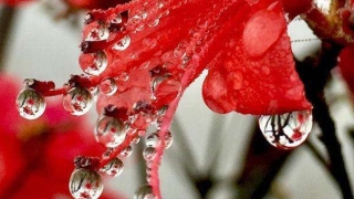 过来告诉你几个风水斩小三最毒方法