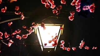 财运亨通的五大特征,那些财运好的人都长什么样