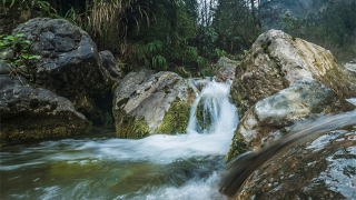斩桃花法事的原理，让感情中的第三者出局
