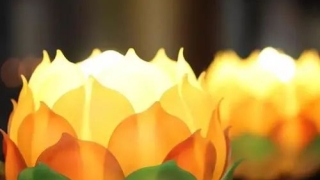 堕胎婴灵报复母亲的几种方式,堕胎婴灵为什么会