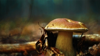 早婴灵超度后母亲的反应都不一样