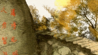 八字算命 一般好命的人有几个财库