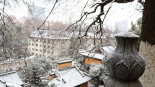 北京烧香寺庙烧香的讲究，去什么地方拜神灵验