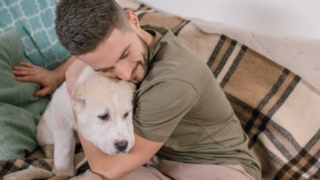 坟地之后连续三天做噩梦惊醒 竟是它带来的厄运