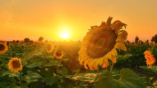 打胎超度后运气很好,不超度的话差的要命