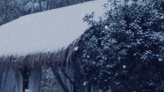 如何回向婴灵,道教渡亡婴灵回向功德,让婴灵下一世投个好胎