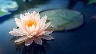 往生咒全文帮助去世亡灵得到解脱