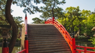 佛教渡亡亡灵全文,用这经典去渡亡