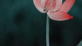 到底有没有婴灵的说法 , 念往生咒有什么作用